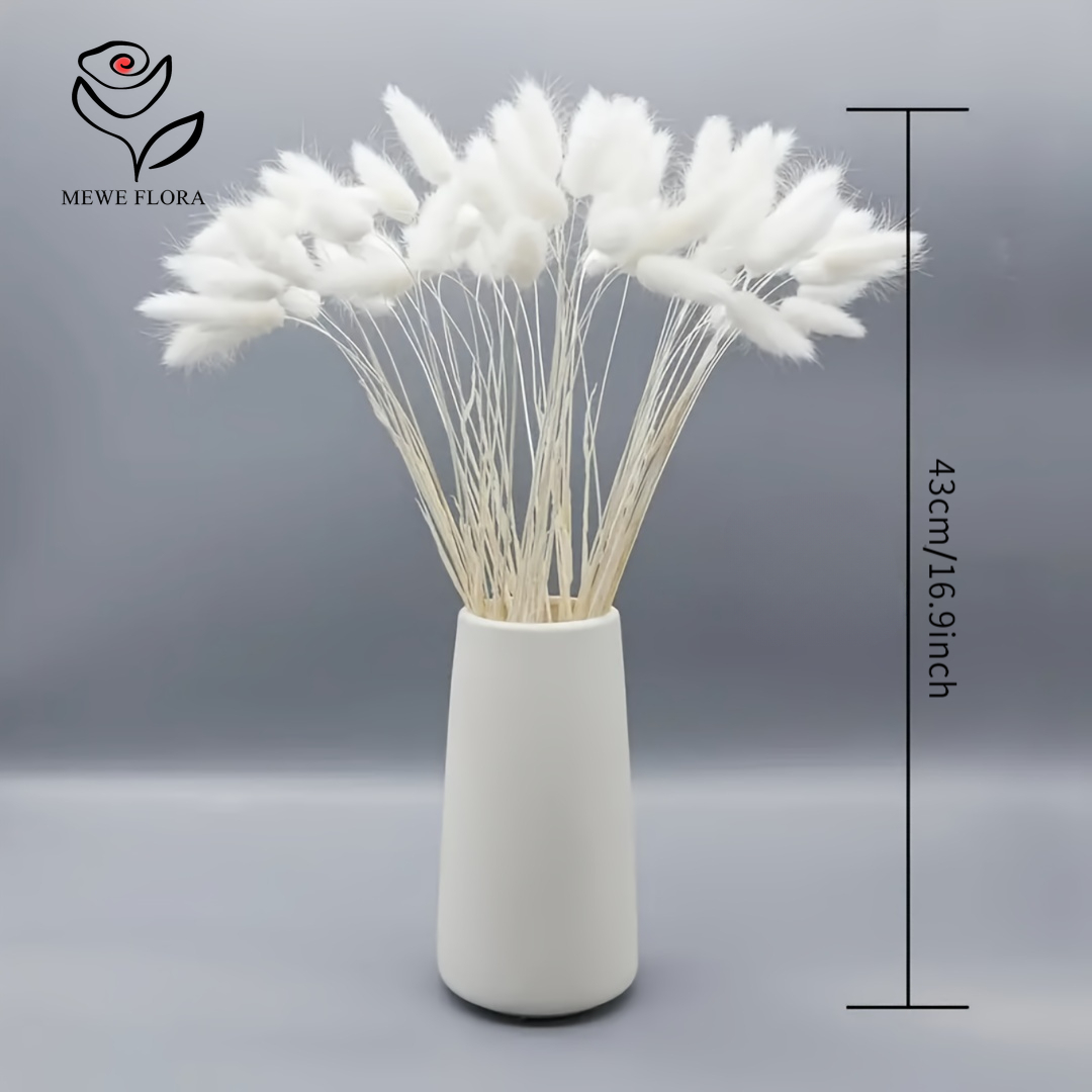 150 STKS Witte Natuurlijke Plu - Pampas Grass Decor recensie en prijs